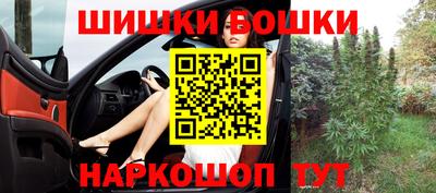 гашик Кингисепп